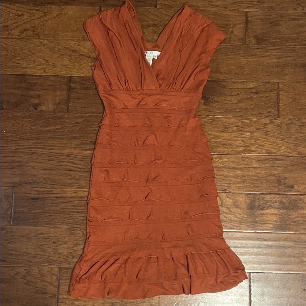 Elegant Rust Dress
